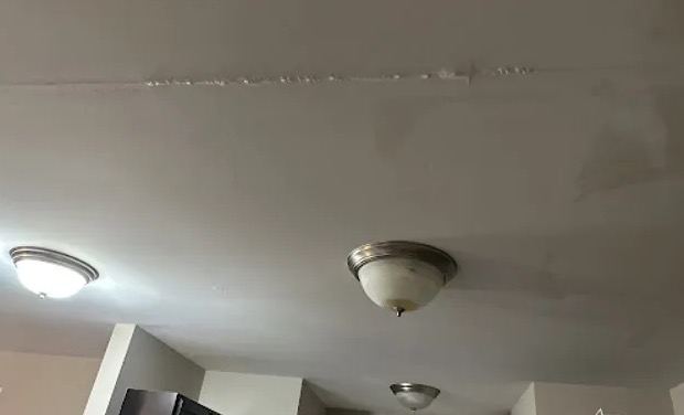 Ceiling Mold Removal in Davidson, NC