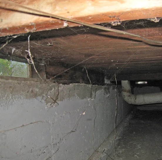 Crawlspace Mold Remediation in Cornelius, NC