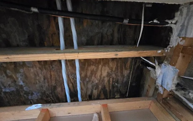 Roof Leak Repair & Water Damage Mitigation in Trinity, NC