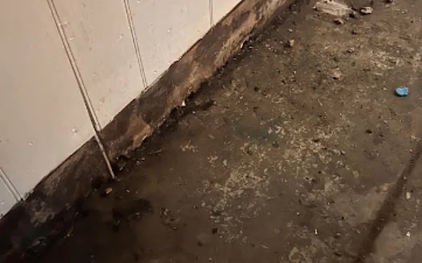 Sewage Cleanup & Disinfection in Trinity, NC