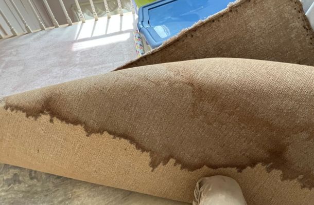 Water Damage, Fire Damage & Mold Remediation Experts in Greensboro, North Carolina